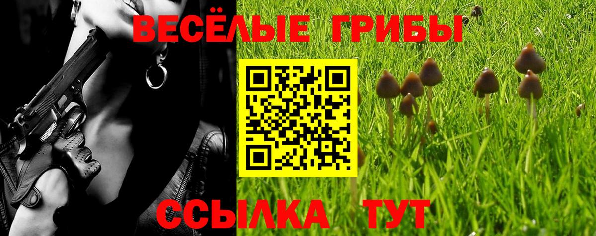 Галлюциногенные грибы Magic Shrooms Богданович
