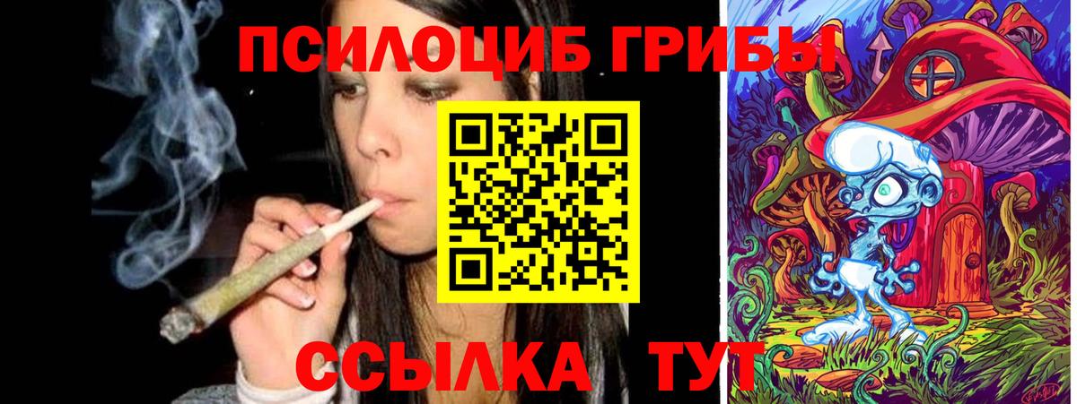 Галлюциногенные грибы мицелий  Галлюциногенные грибы MAGIC MUSHROOMS  Богданович  Вход с VPN 