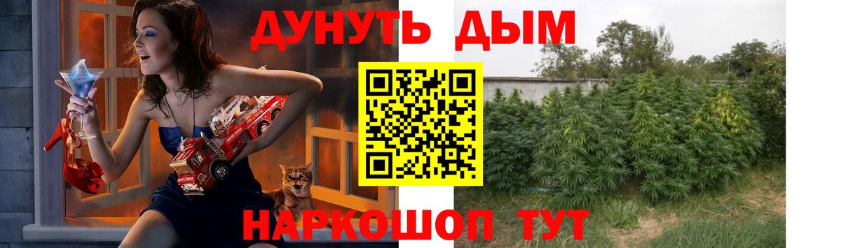 Бошки Шишки OG Kush Богданович
